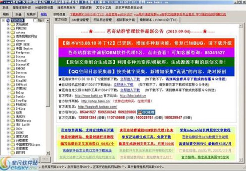 站群程序市场背后的行业动态