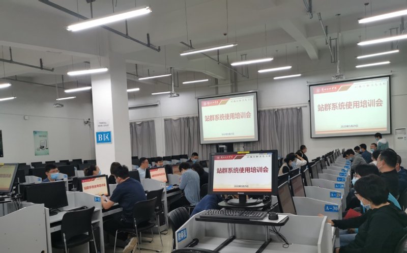 AI站群系统：互联网新时代的“多面手”